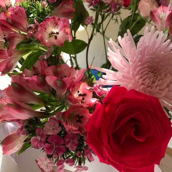 Welcome to my 2025 Posh Closet! - Picture 5 of 10